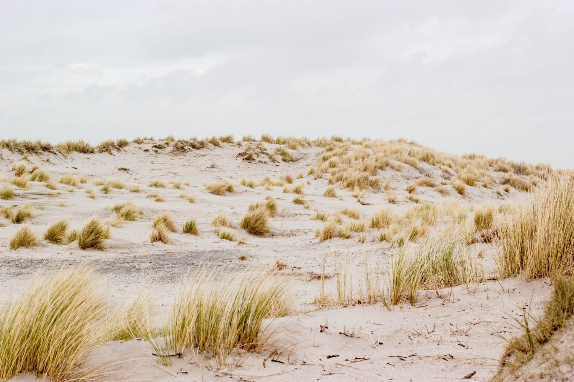 De eindeloze kust van Nederland