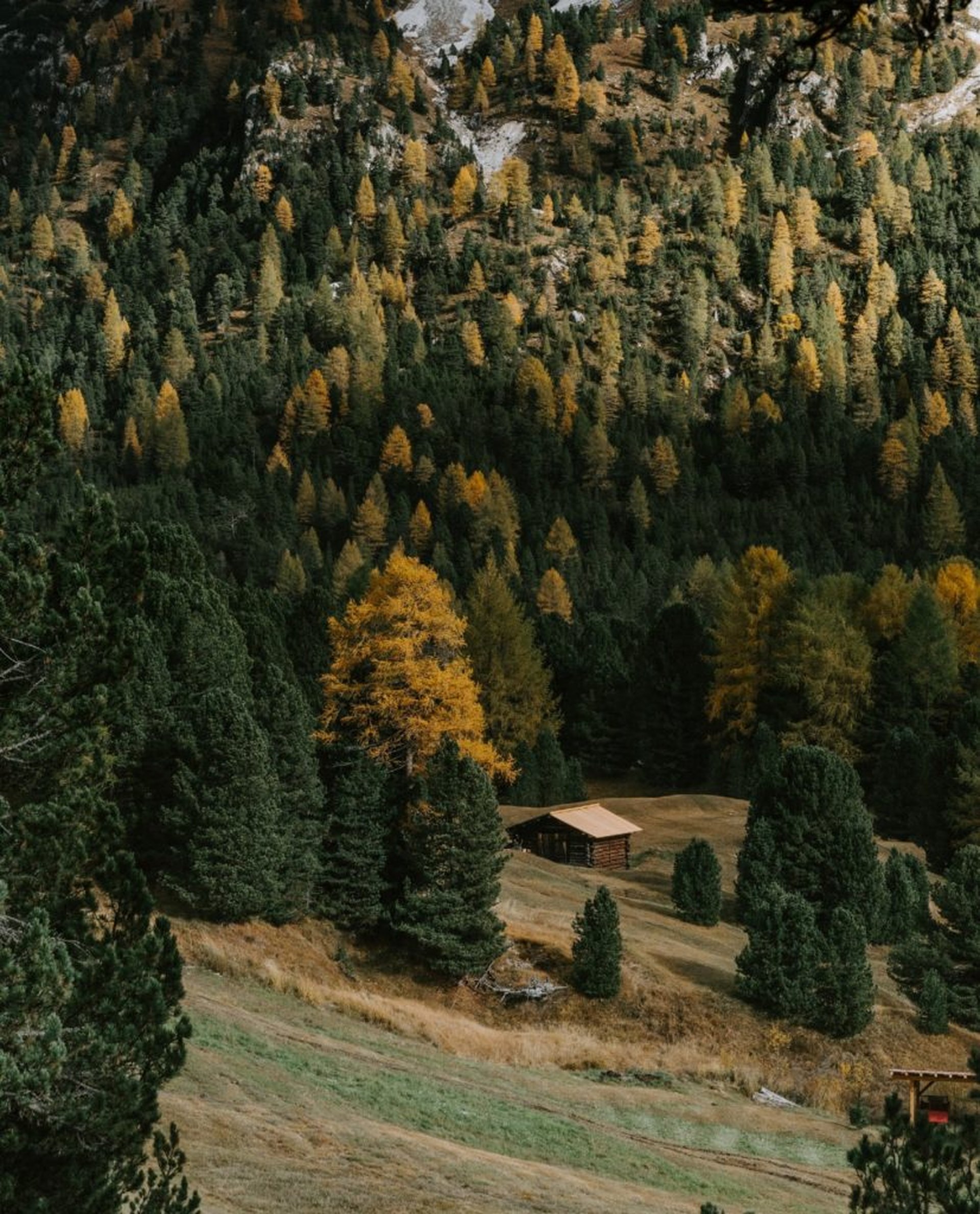 Wandern in Südtirol – Herbstwärme auf dem Meraner Höhenweg