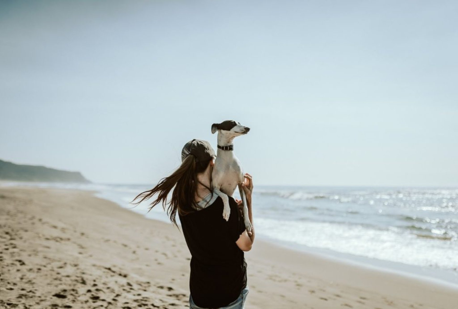 Op strandvakantie met de hond – het grote avontuur wacht!
