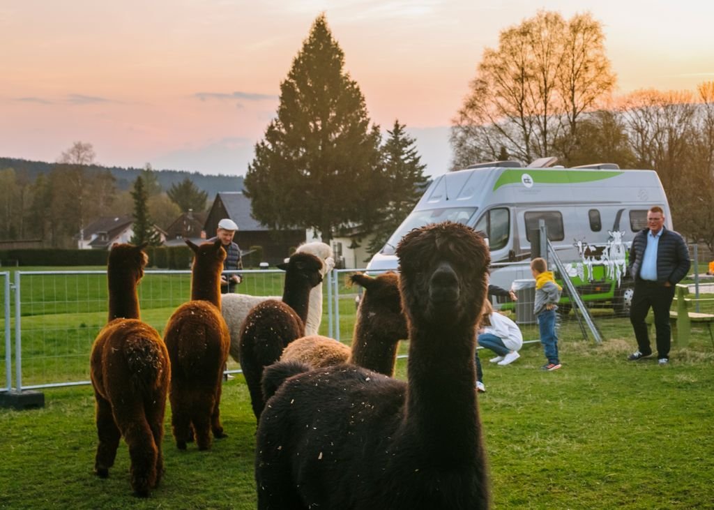 Ländlicher Herbstgenuss: Campingurlaub auf Bauernhöfen in Deutschland und Österreich - PaulCamper Magazin