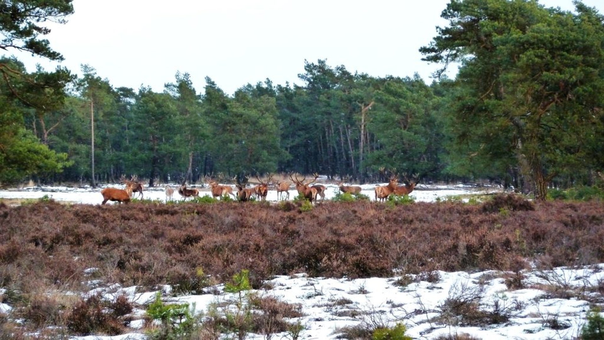 10 prachtige plekken voor winterkamperen in Europa