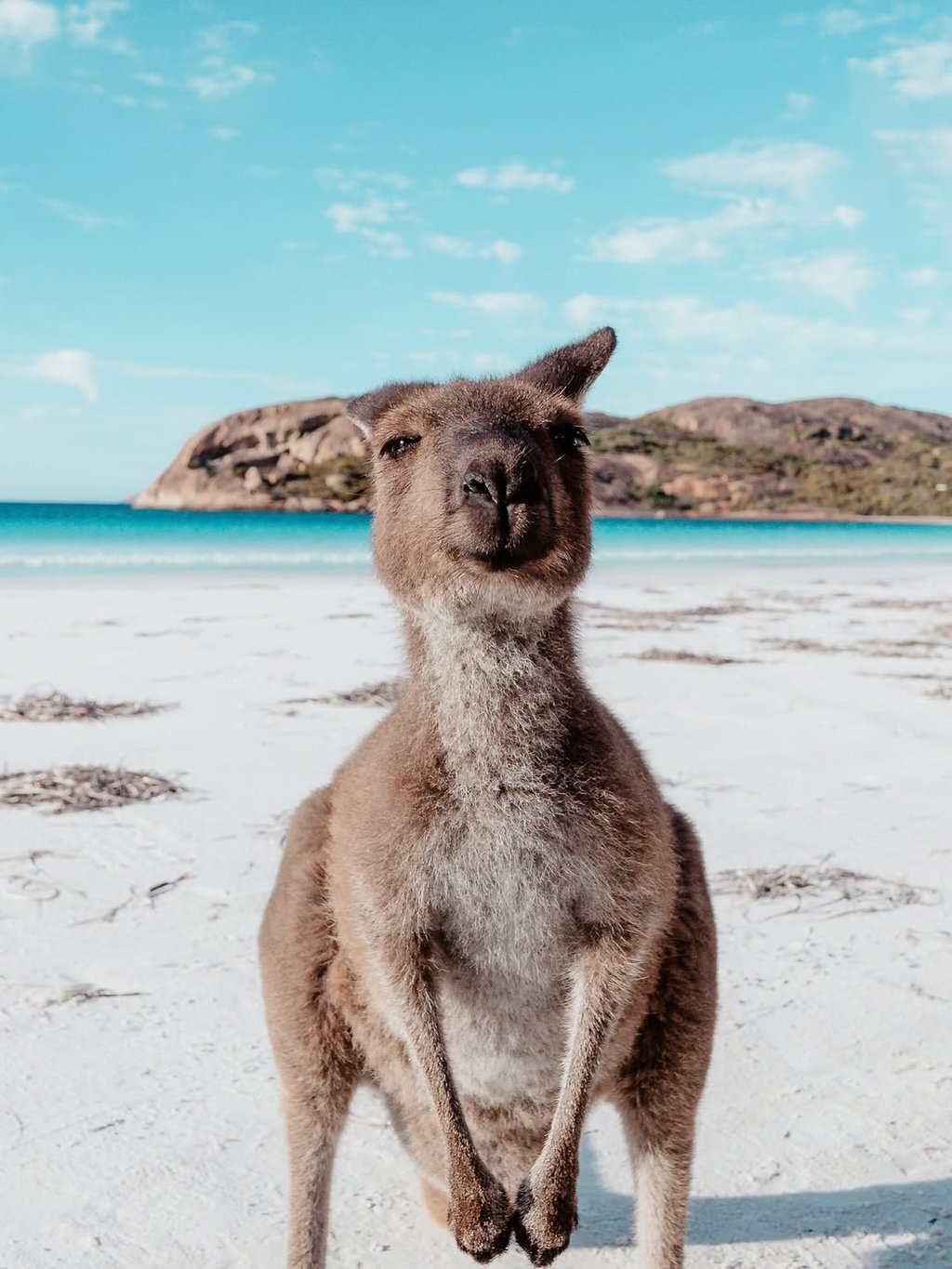 WA owners level up their RV sharing success with Camplify Expert insights