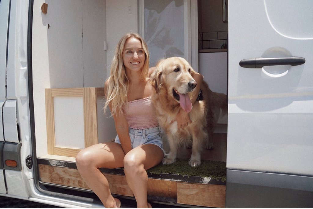 Golden Retriever lookin' stoked hangin' out the window of a campervan, ready for a road trip.