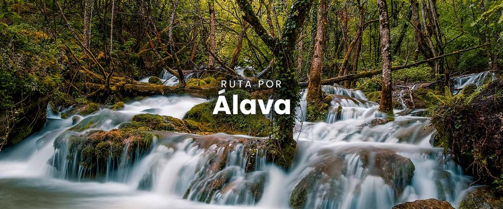 Autocaravana en Álava con montañas al fondo, ideal para ruta y vacaciones en 2022.