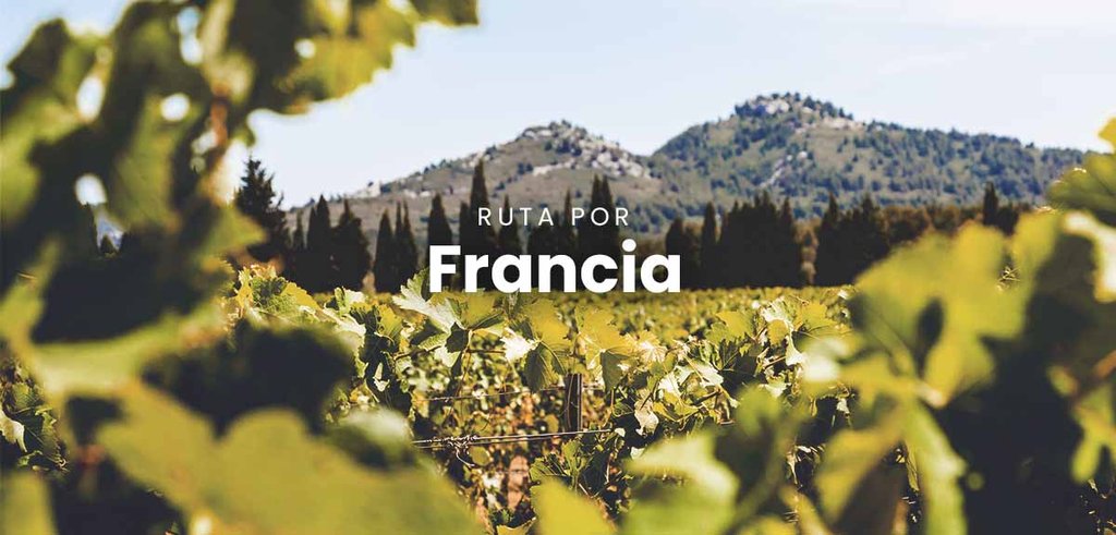 Autocaravana estacionada en la Provenza francesa con campos de lavanda al atardecer.