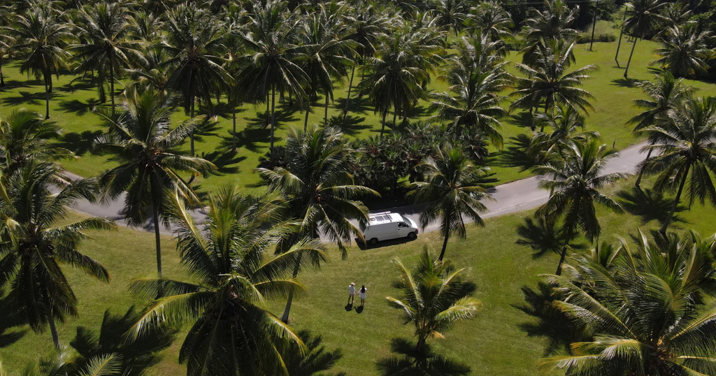 Best road trip around tropical North Queensland guide