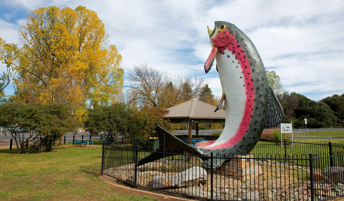 Large rainbow trout sculpture leaping inside a fenced park display with pavilion and autumn trees in the background.