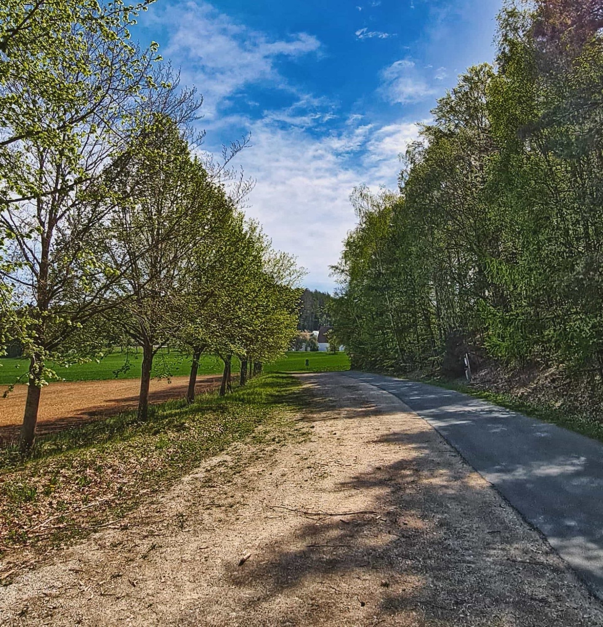 Natur Campingurlaub Sommerurlaub Wandern Felder Wald