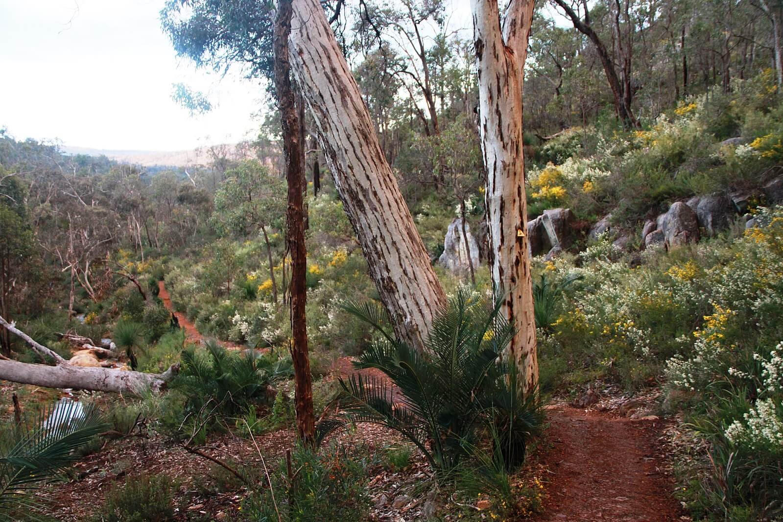 Swimmer enjoying a pristine rock pool on a hot day near Perth, WA. Ideal for camping and road trips.