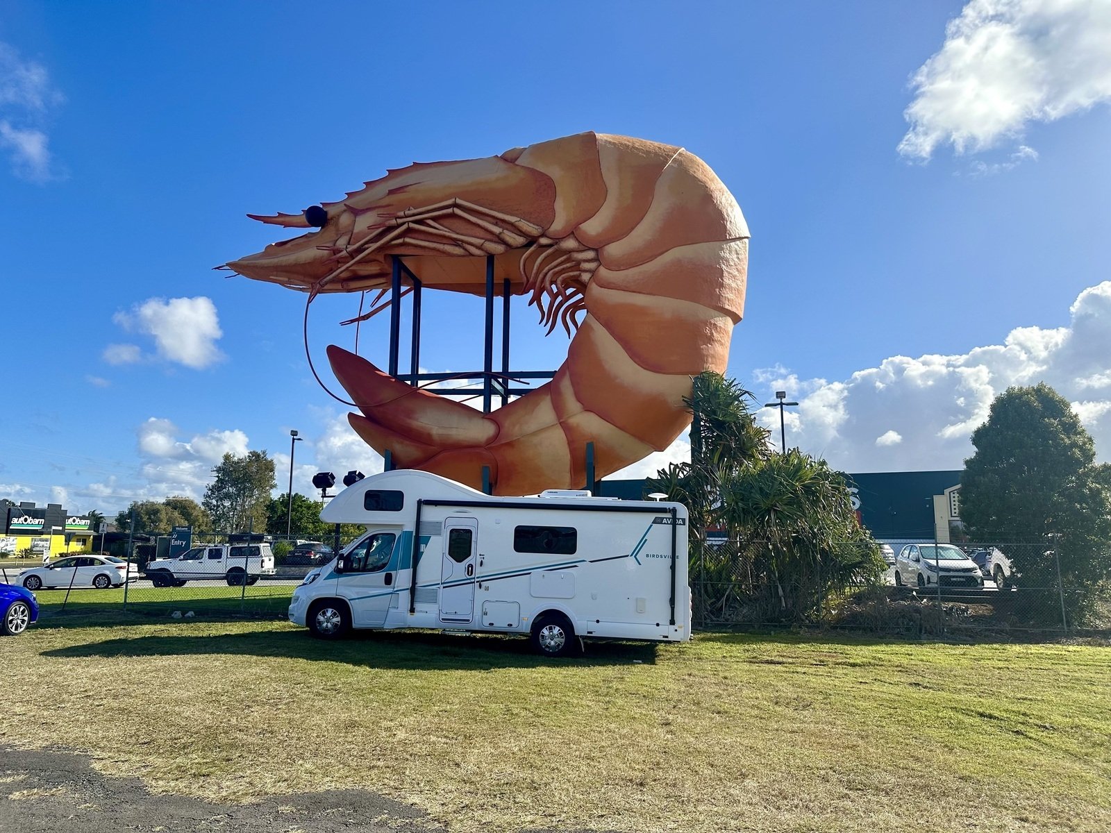 An Avida motorhome hired on Camplify parked under a giant prawn sculpture, set against a clear blue sky with scattered clouds and surrounding trees.