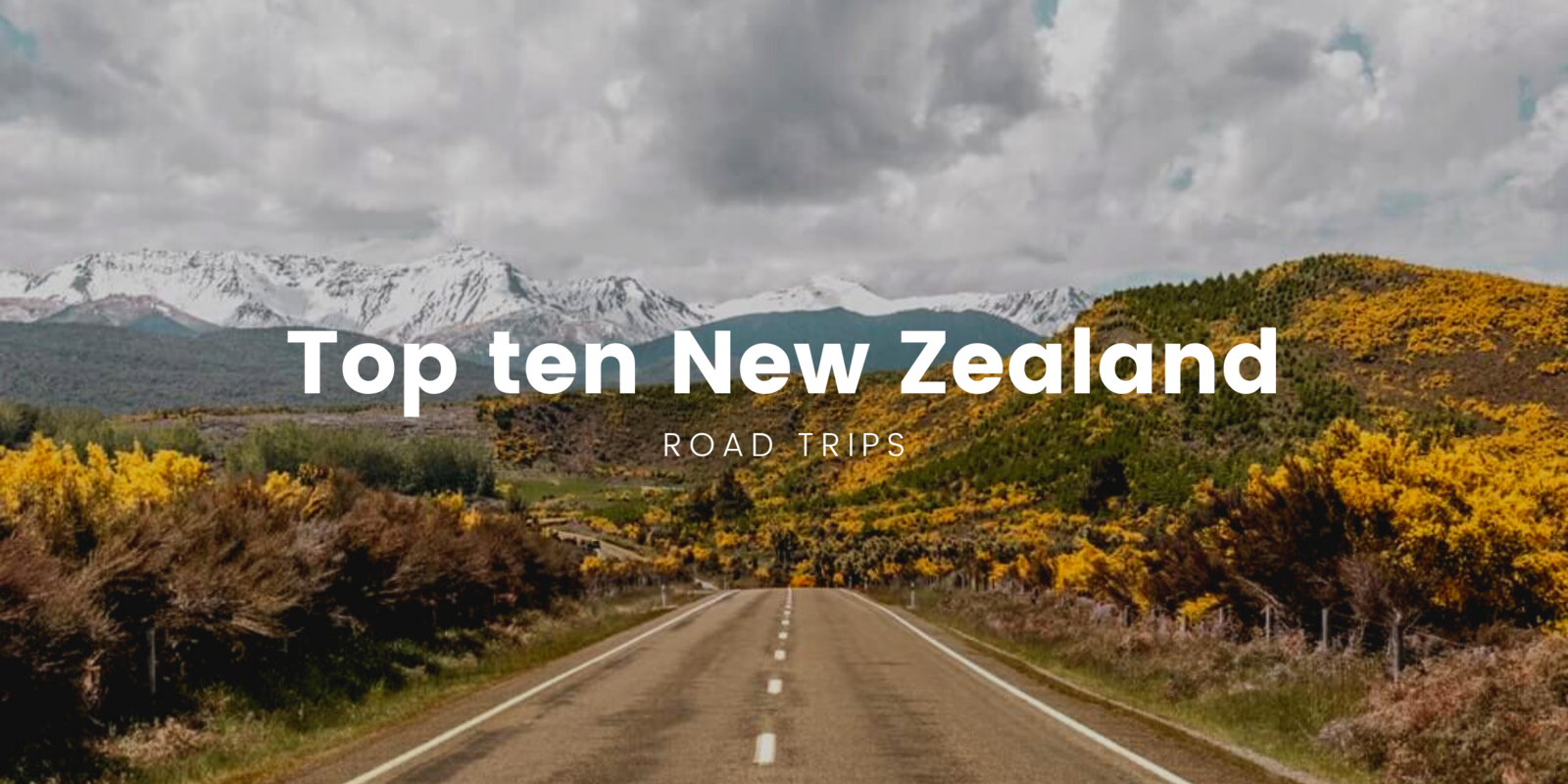 top 10 NZ