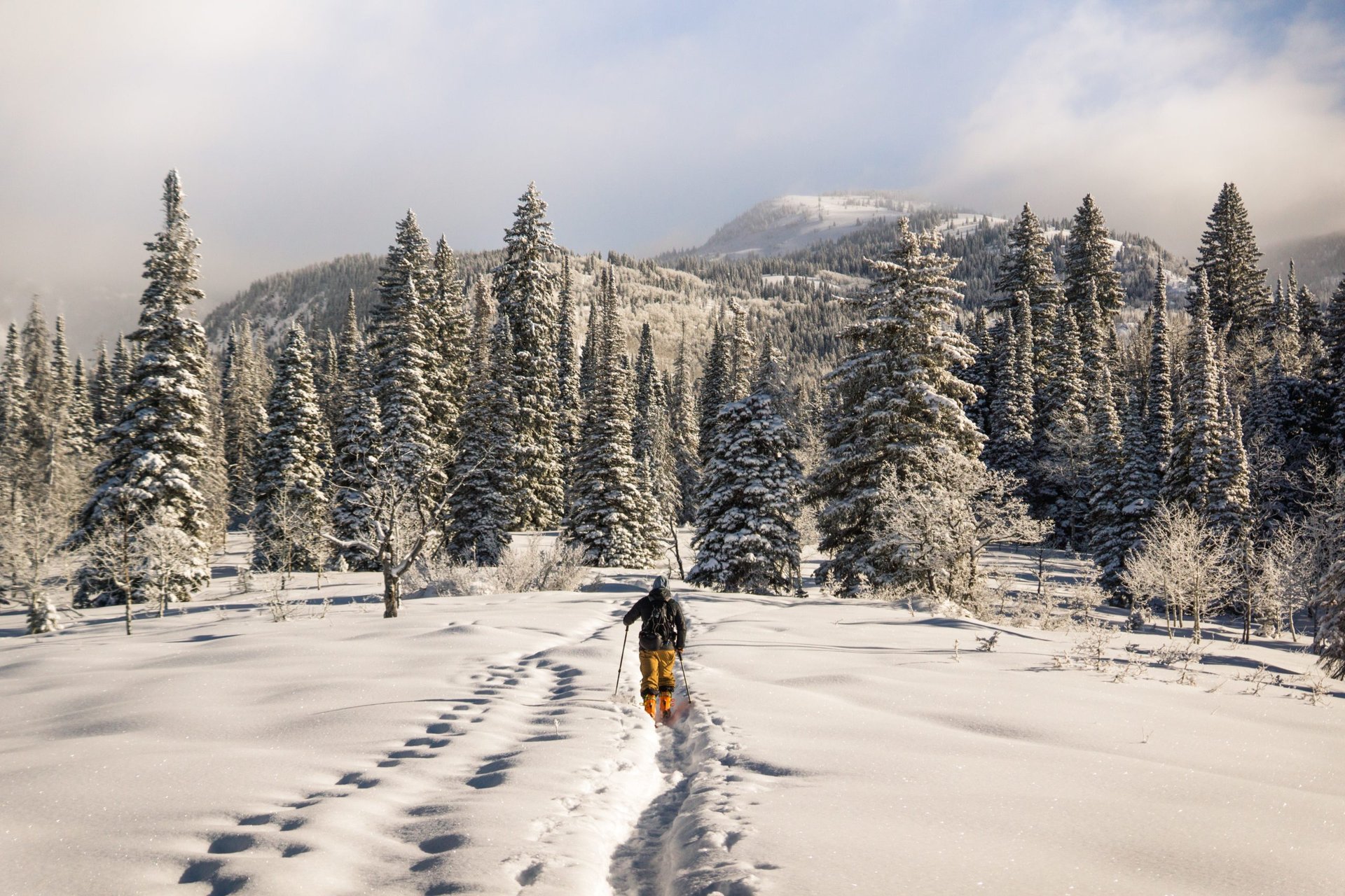 Wintercamping im Allgäu: Langlaufskifahren
