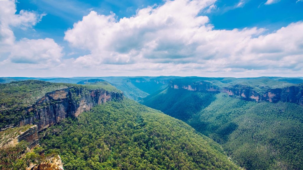 Family RV adventure in the Blue Mountains bushland, perfect for a Bupa wellness getaway.