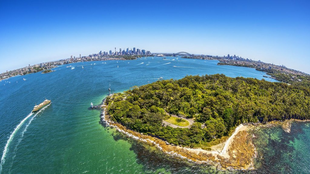 Campervan parked at a bush camp, showcasing the Aussie landscape & travel vibes.