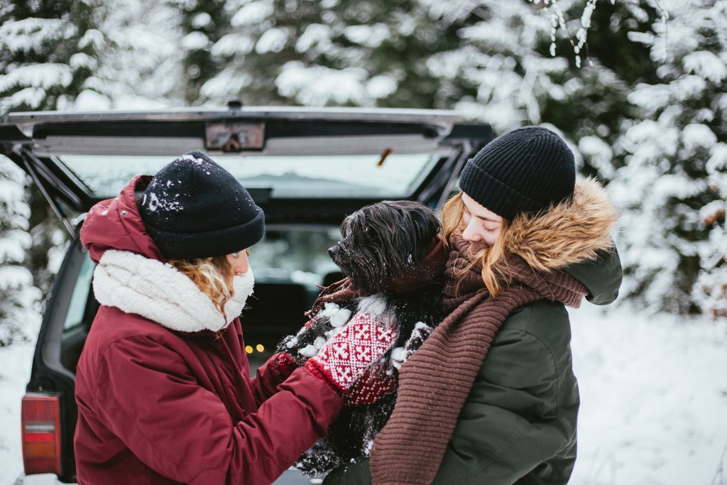 Entspanntes Silvester-Camping mit Hund: Dein Wohnwagen am Seeufer.