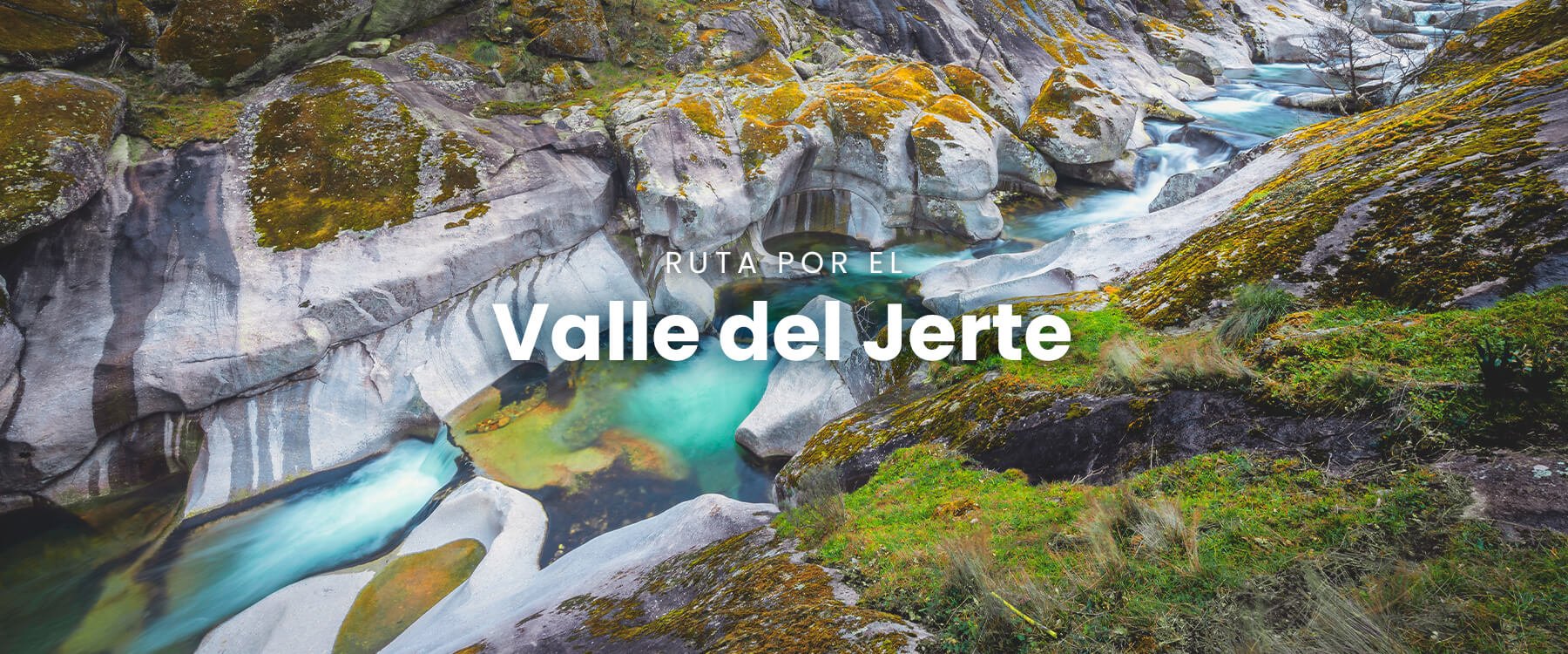 Autocaravana en flor en el Valle del Jerte, Cáceres. Cerezo en flor y montañas de fondo.