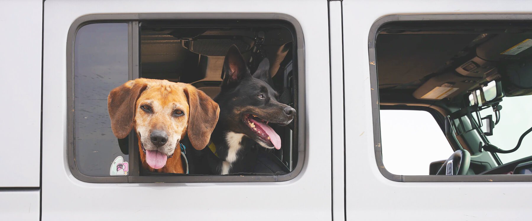 Autocaravana en la naturaleza con perro mirando por la ventana, listos para viajar.