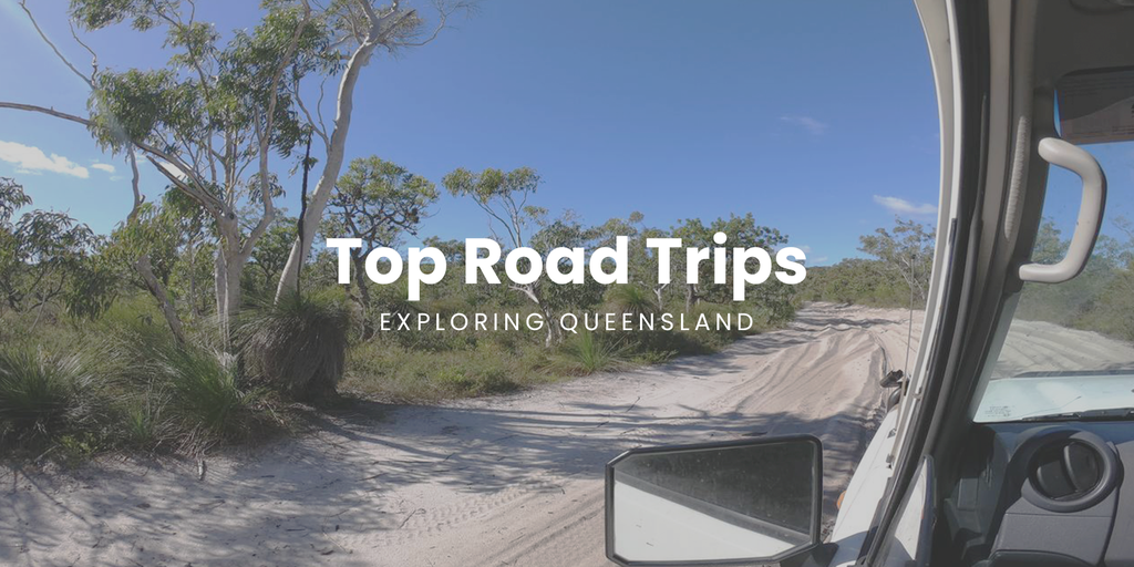 Campervan parked near a lush rainforest, perfect for a Queensland road trip.