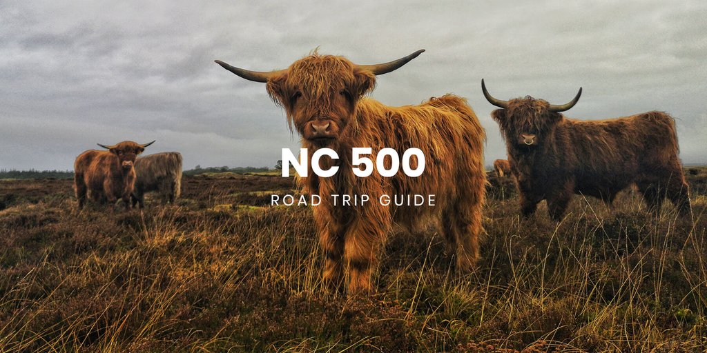 Motorhome driving along the scenic North Coast 500, Scottish Highlands landscape.