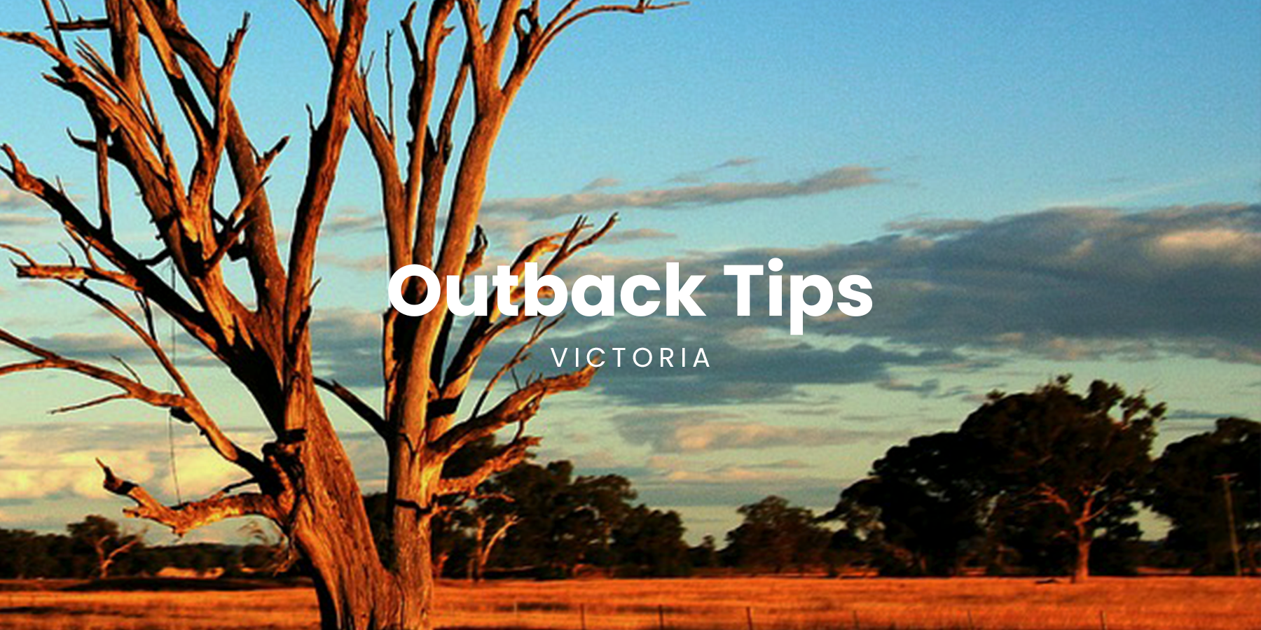 Tvan camper trailer setup at a bush camp, ready for an outback adventure.