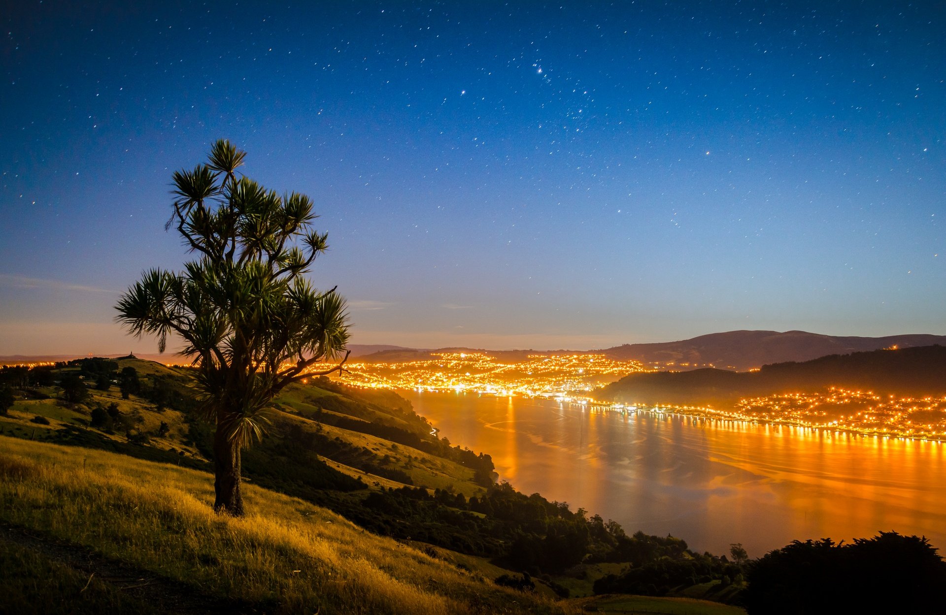 Campground scene in Dunedin, South Island with campervans and happy holidaymakers.