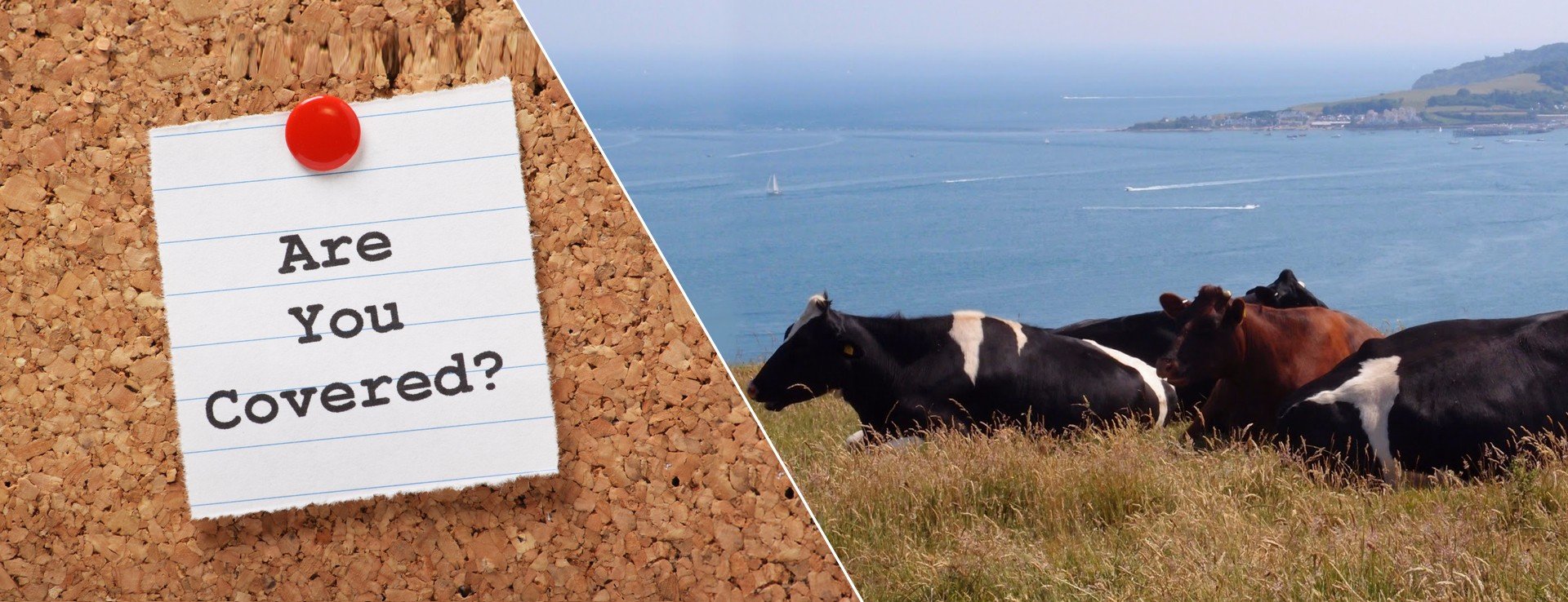 Caravan parked on a pitch at a bustling campsite, representing potential rental headaches.