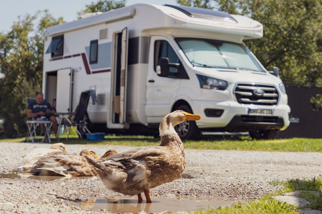 Katja & René genießen ihren Urlaub im Wohnmobil.  Finanzielle Freiheit durch PaulCamper.