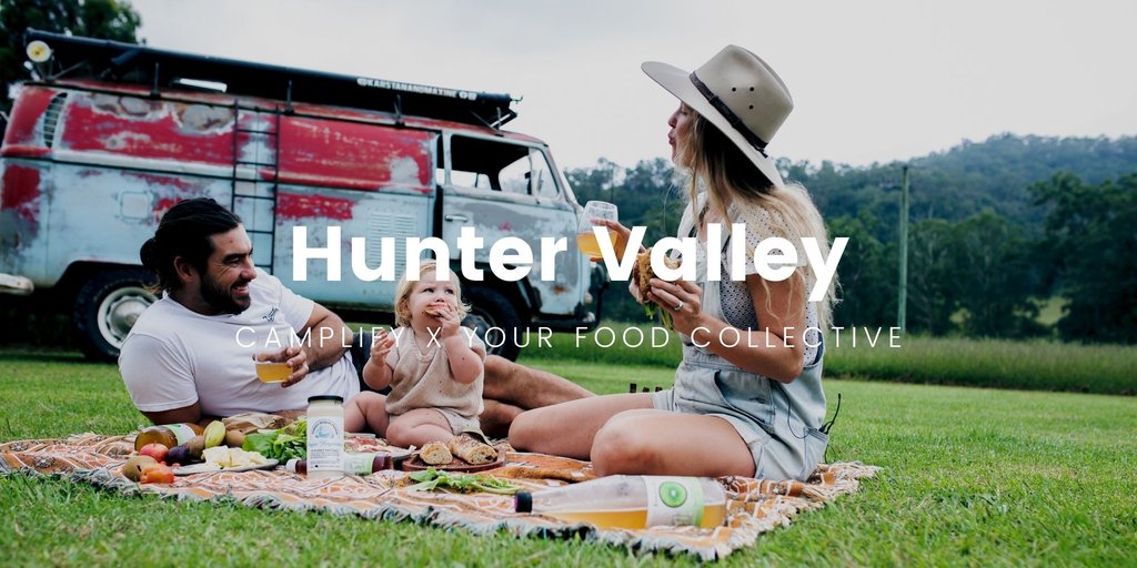 Camping tents pitched amongst vineyards in the Hunter Valley, NSW.