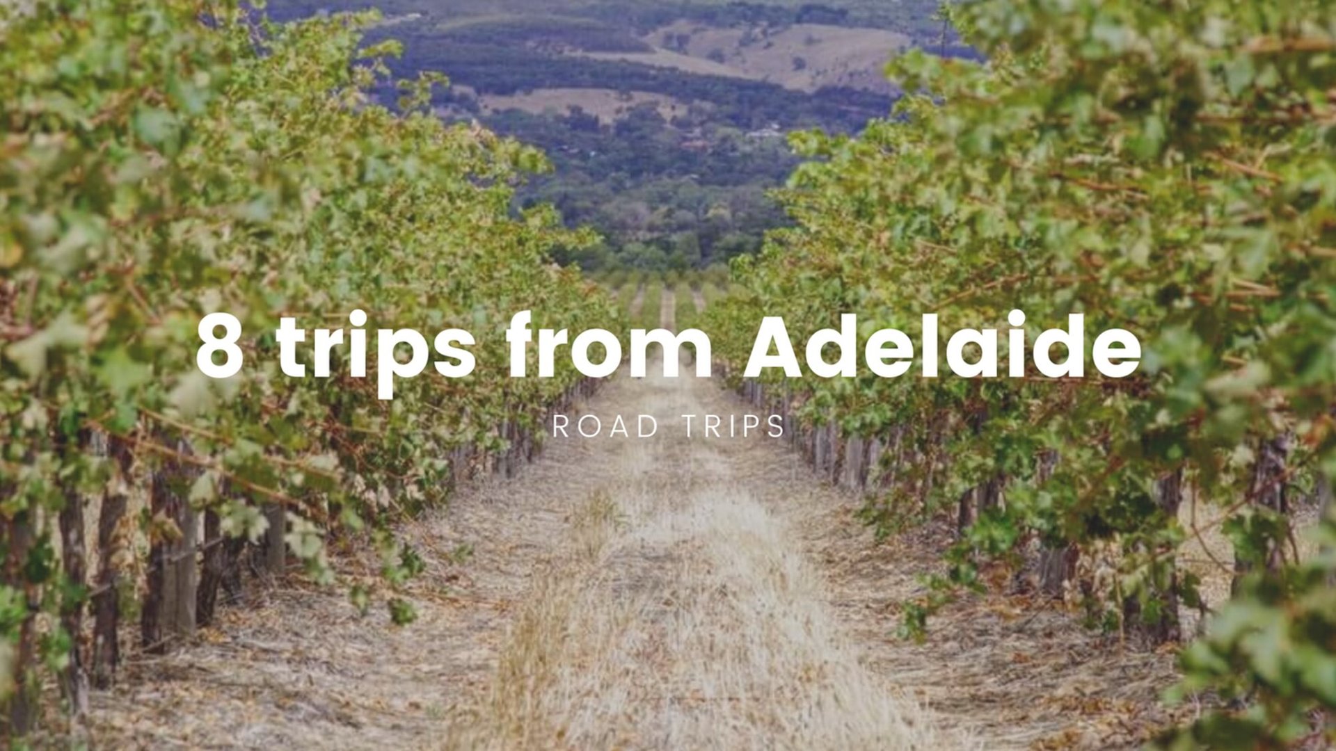 Caravan overlooking the Adelaide Hills. Perfect for your next road trip adventure.