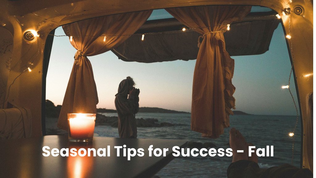 Campervan parked amongst autumnal trees; golden leaves covering the ground.