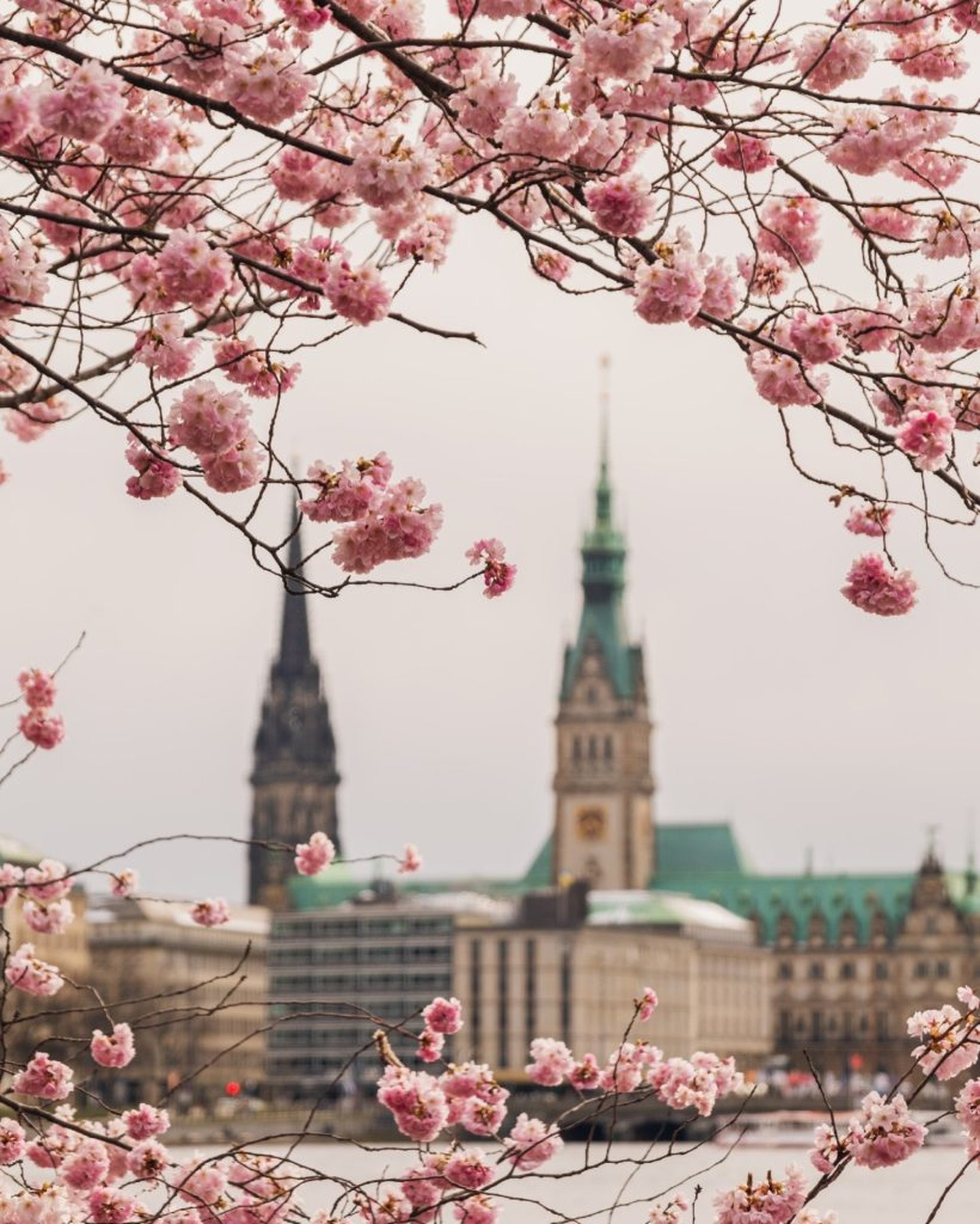 Rundreise zur Kirschblüte 2025 in Deutschland mit dem Camper
