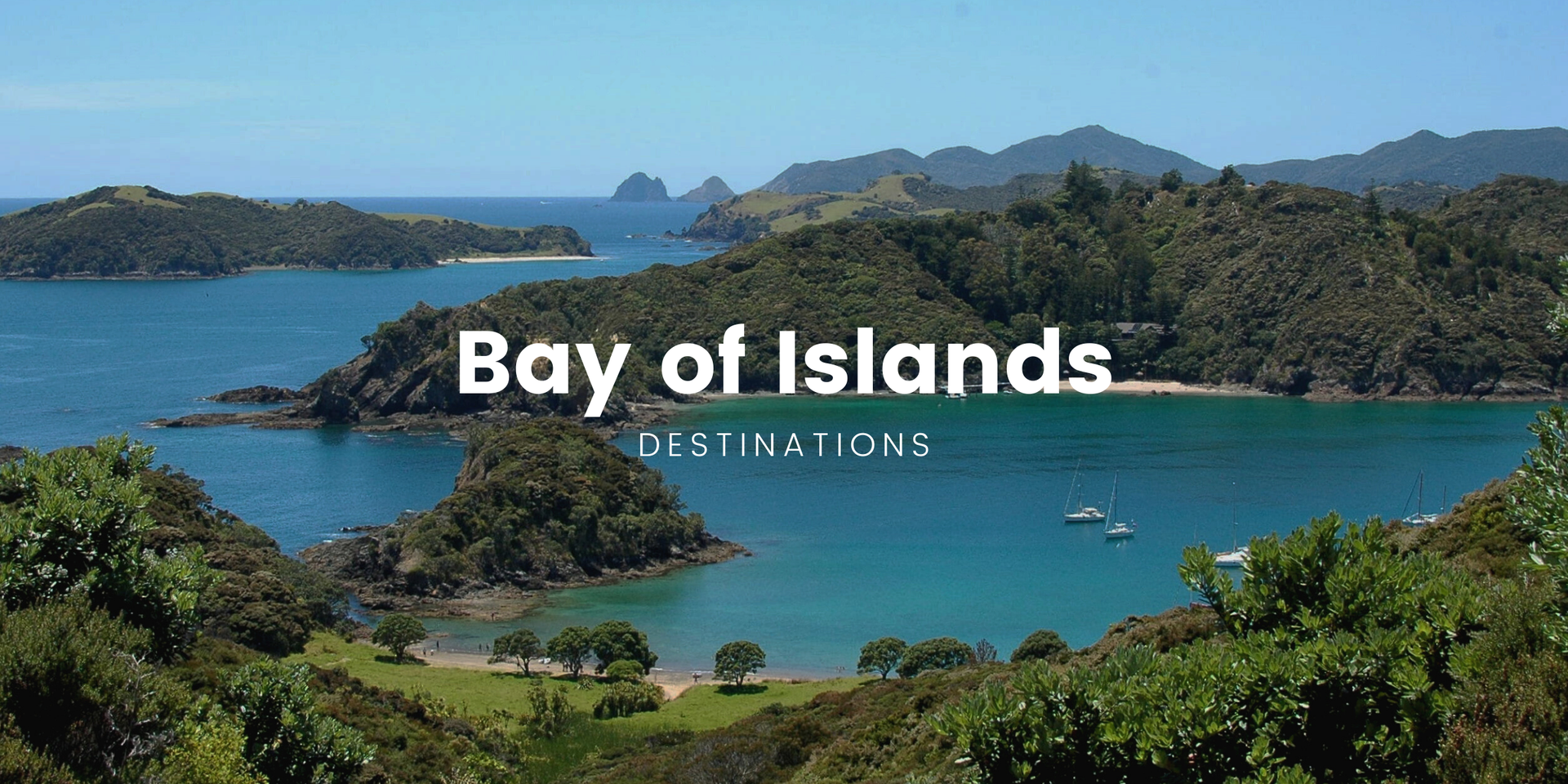 Tent at a pā site overlooking the Bay of Islands. Camping in Aotearoa, New Zealand.