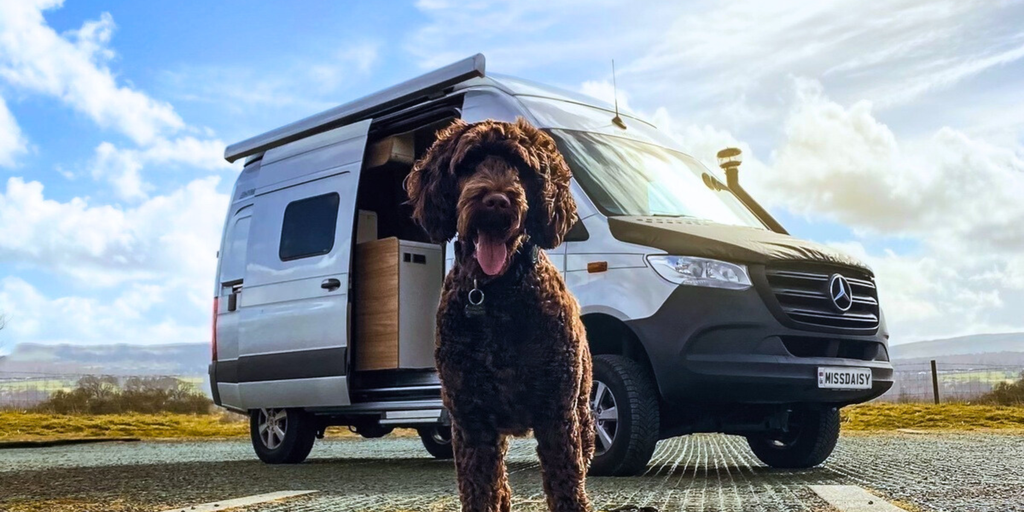 Campervan parked by lake, dog looking out. Perfect for dog-friendly camping getaways in the UK.