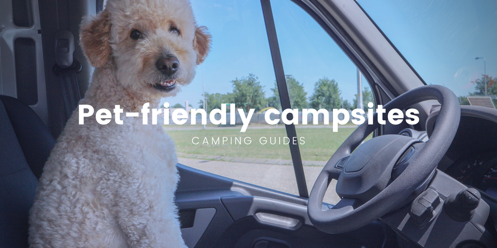 Dog-friendly camping: A tent pitched in a green field, with a happy dog looking out.
