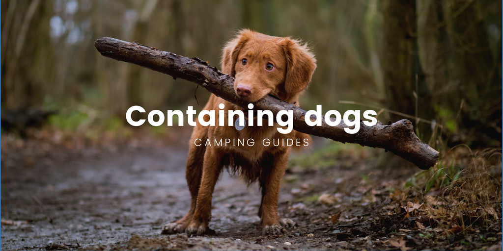 Happy dog looking out campervan window at a scenic campsite. Freedom camping with your best mate.