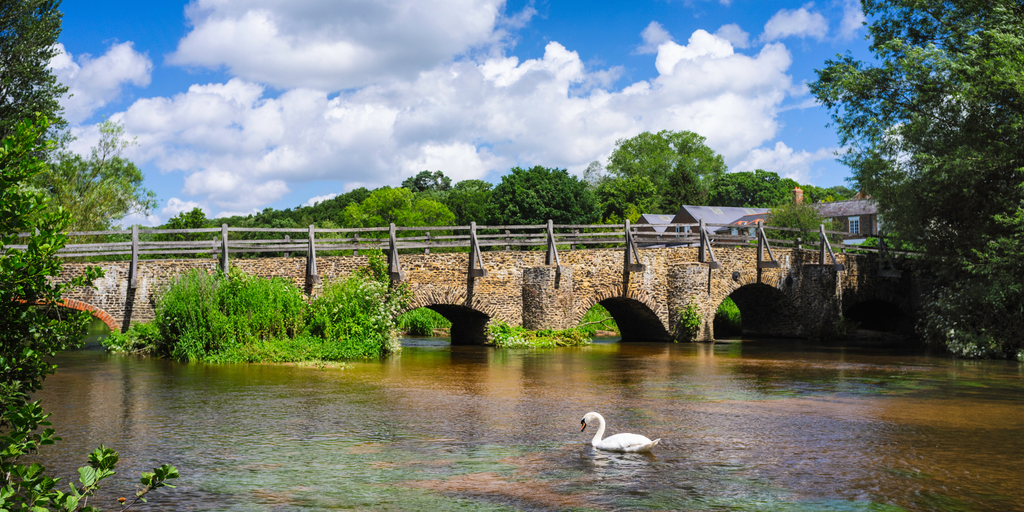 Wild swimmer enjoying a tranquil lake, surrounded by lush green countryside.