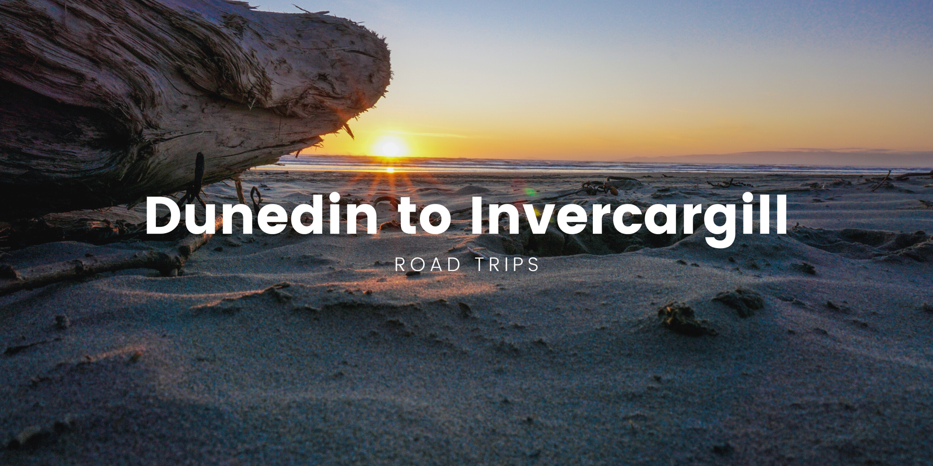 Coastal road winds along the South Island, perfect for a roadie from Dunedin to Invercargill.