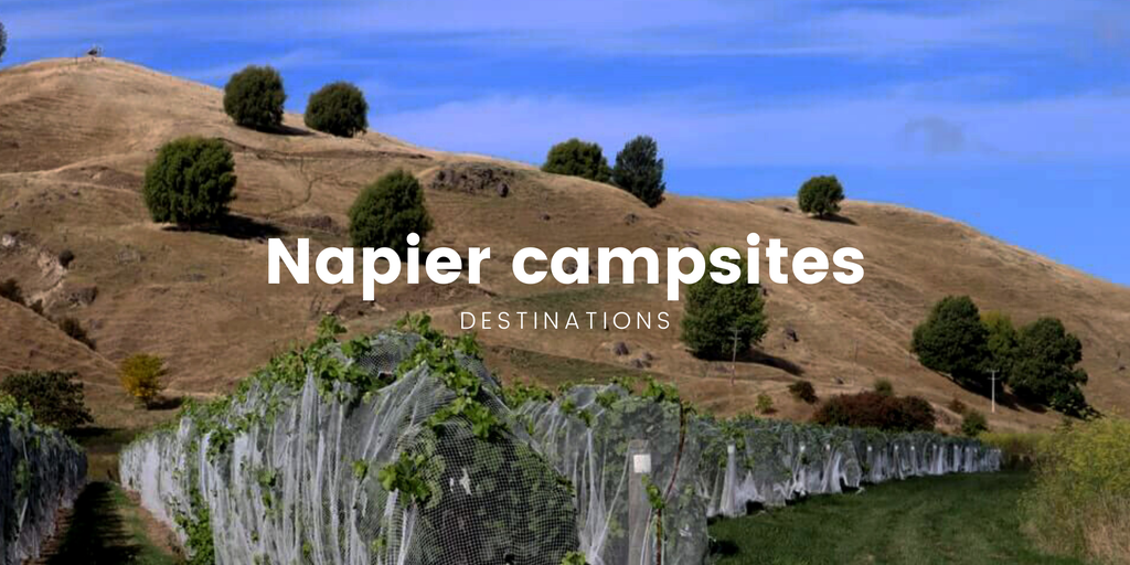 Tent pitched at a sunny campsite near Napier, Hawke's Bay.