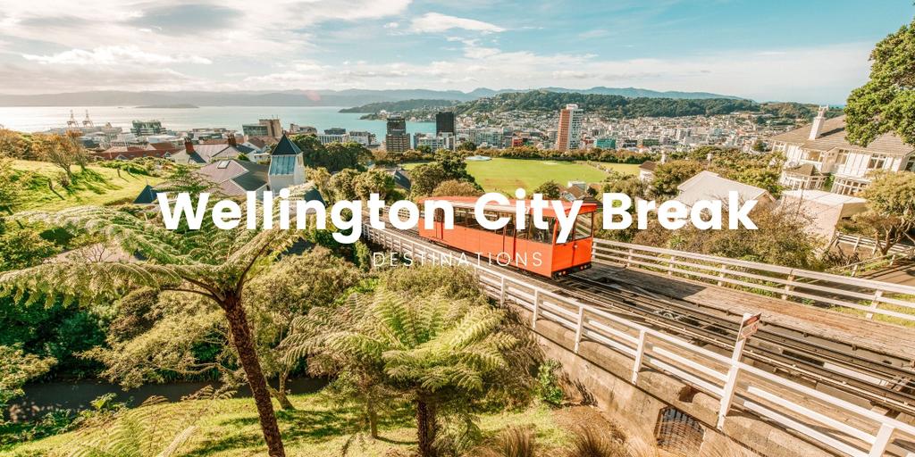 Campervan overlooking Wellington harbour, lush green hills in the background, sunny day.
