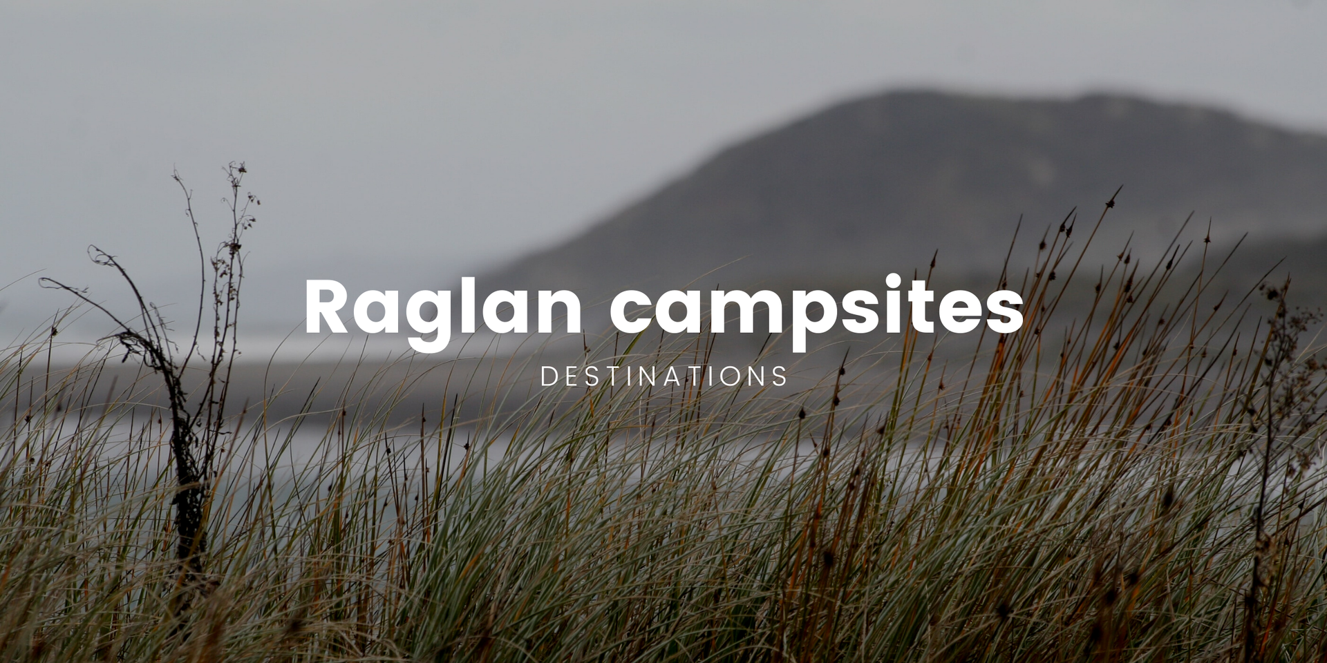 Tent pitched on grassy Raglan campground, view of the Tasman Sea.