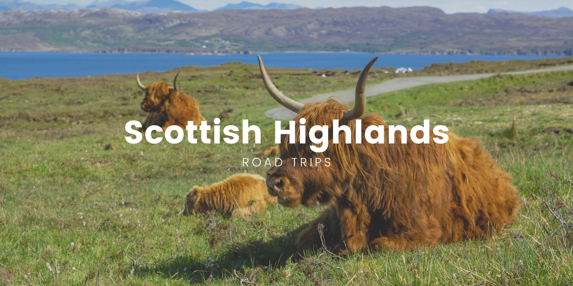 Scenic Highlands road winds past loch, under dramatic skies. Perfect for an unforgettable driving holiday in Scotland.