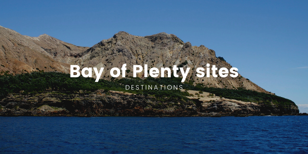 Campervan parked at a scenic Bay of Plenty campsite, ready for a summer holiday.