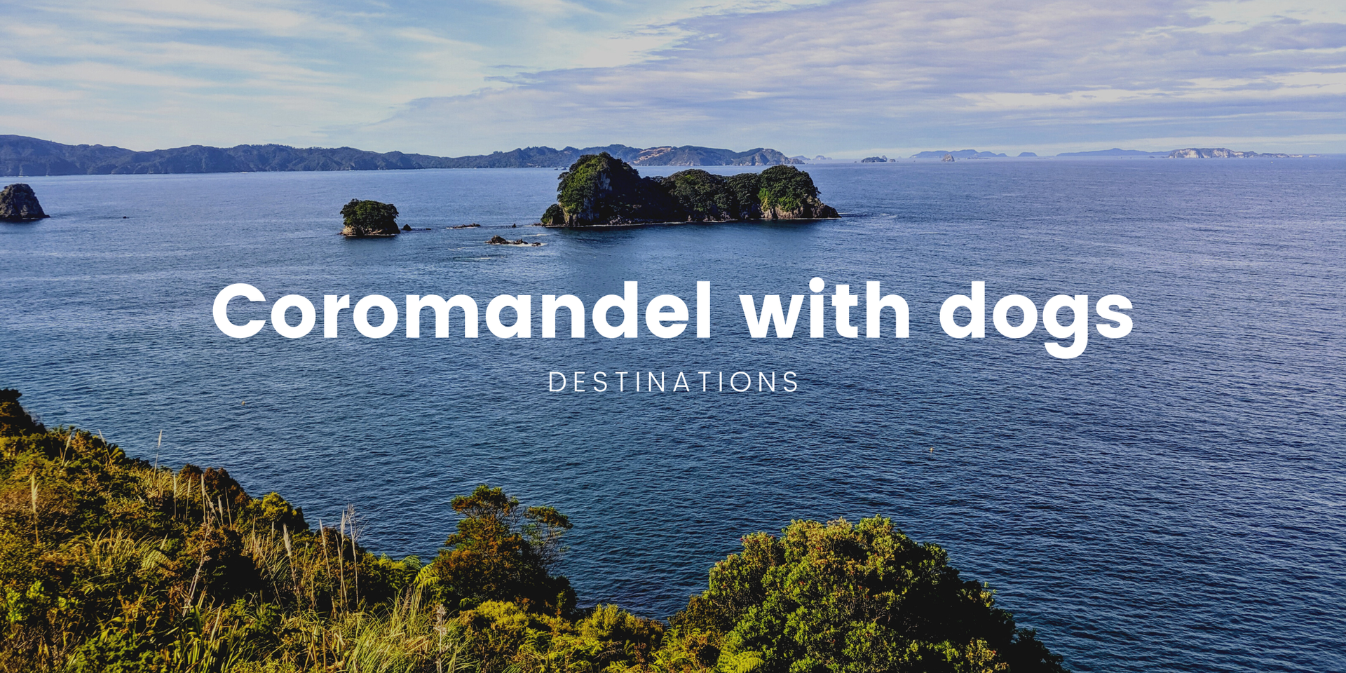 Dog sitting outside tent at Coromandel campsite. Holiday vibes in the great outdoors with your best mate.