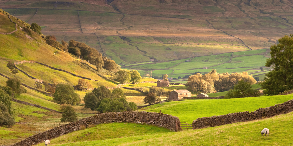 Campervan overlooking scenic coastline. Perfect for a four-day road trip adventure in the UK.