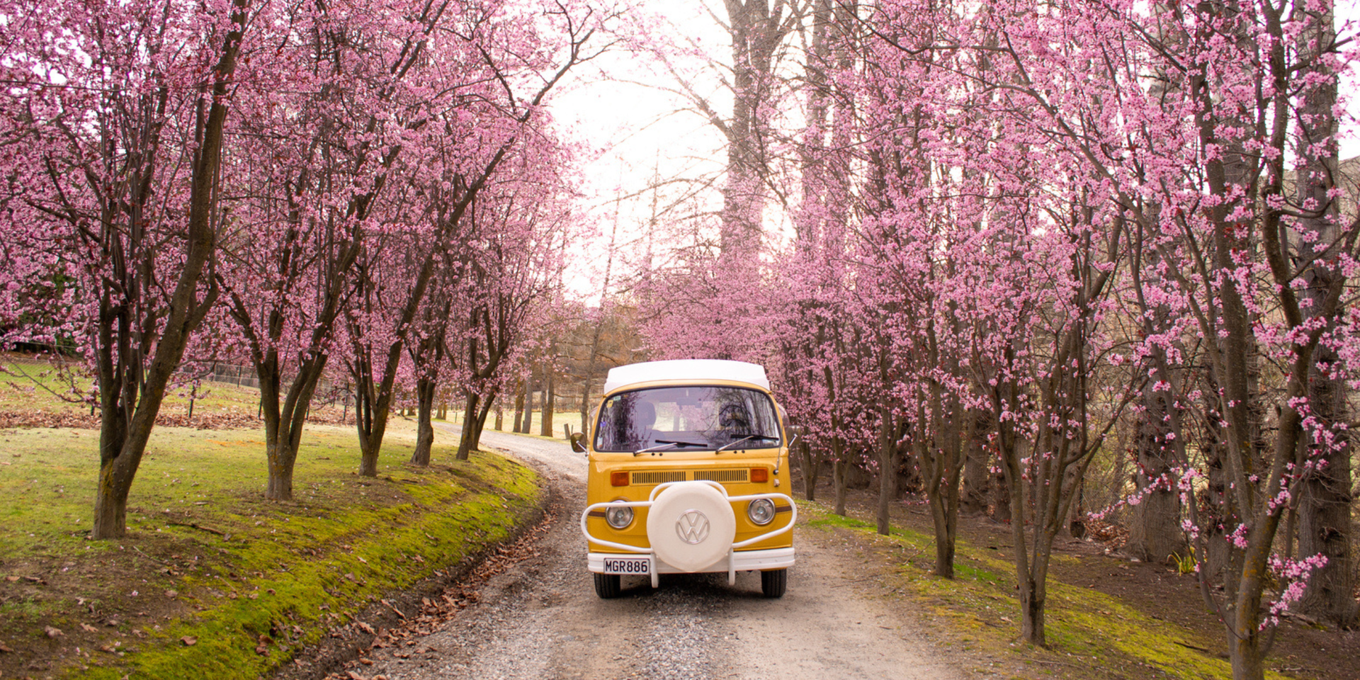 Couple toasting wine glasses in a campervan, scenic mountain view in background.