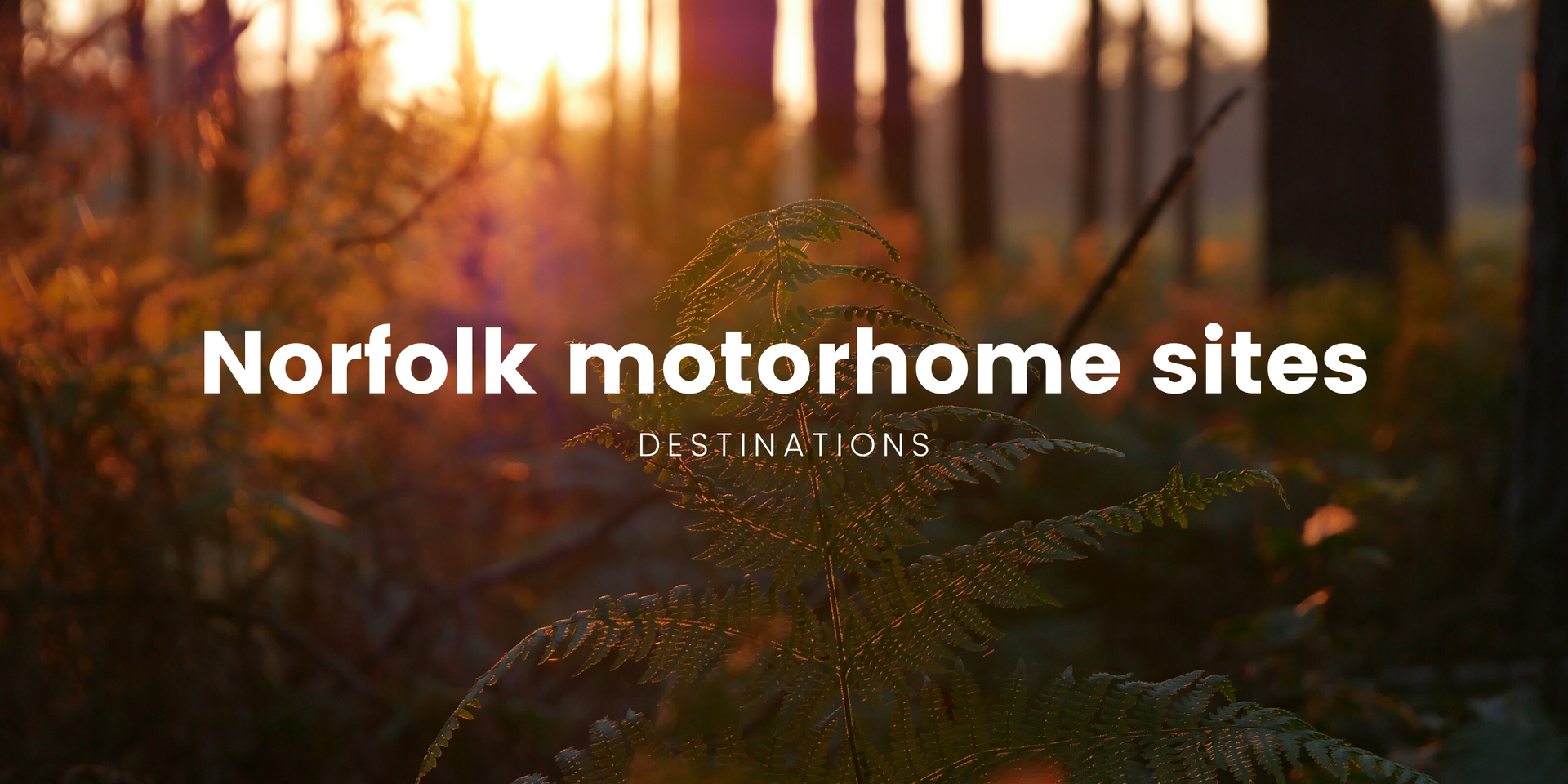 Motorhome parked at a Norfolk campsite, surrounded by trees with blue skies overhead.