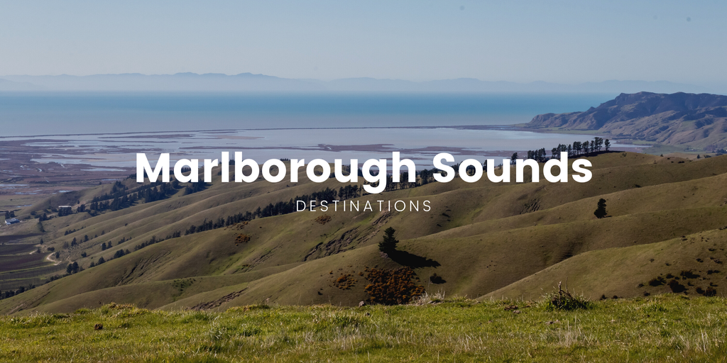 Campsite in the Marlborough Sounds; tent amongst native bush overlooking a scenic inlet.