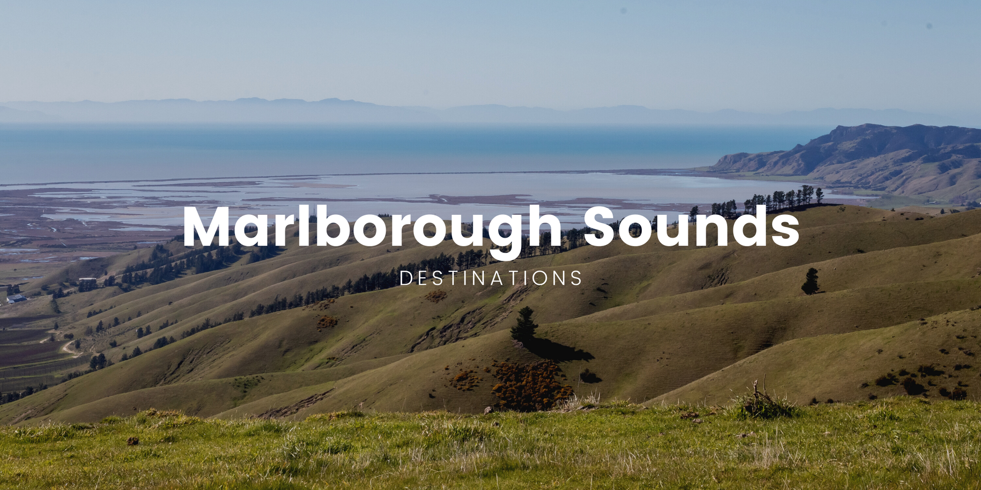 Campsite in the Marlborough Sounds; tent amongst native bush overlooking a scenic inlet.
