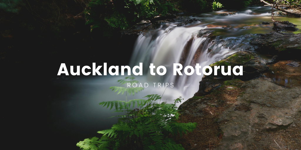 Campervan overlooking rolling green hills on the road to Rotorua.