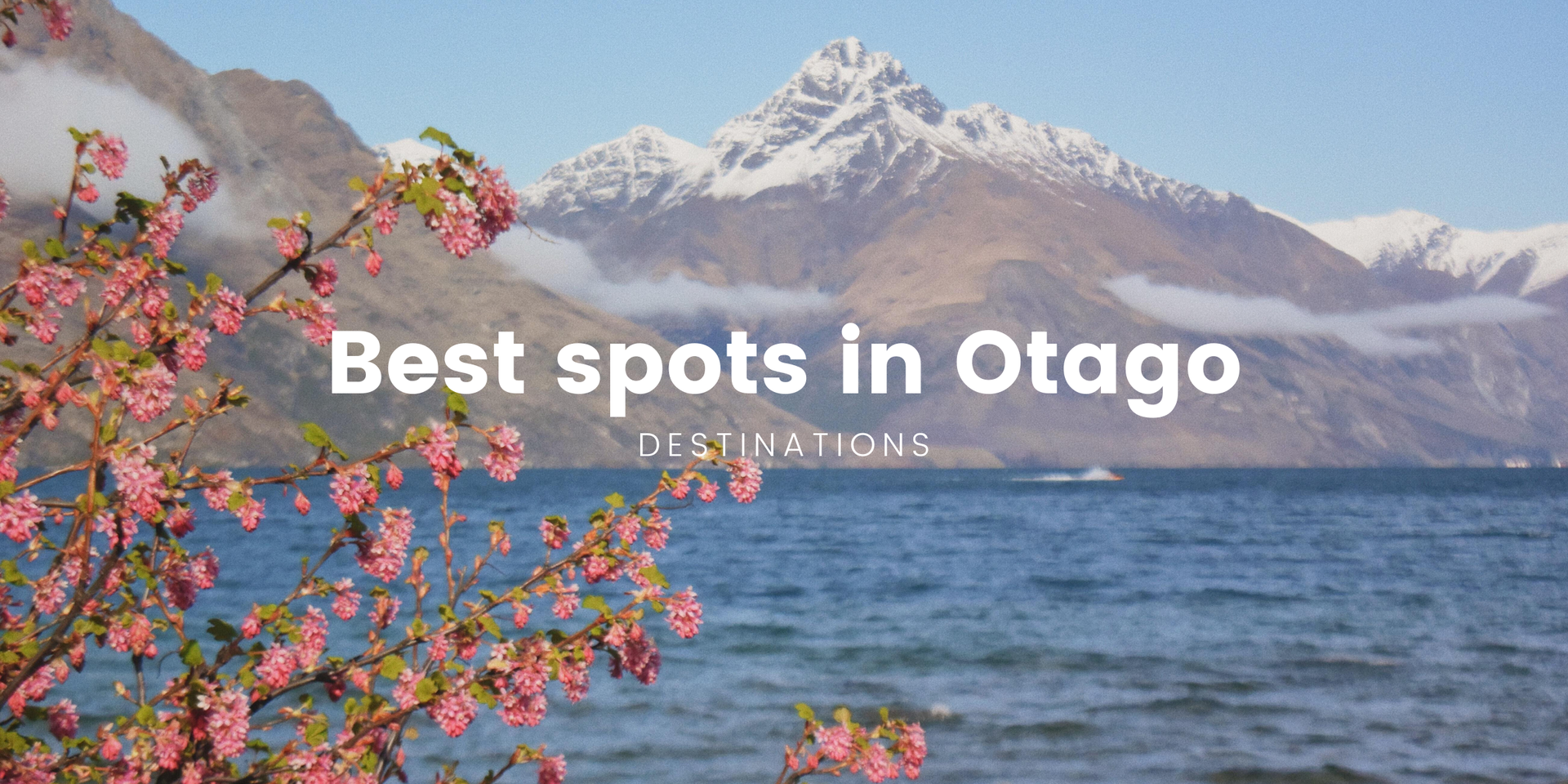 Tent at a campsite by Lake Wakatipu, Otago. Mountains in the background.